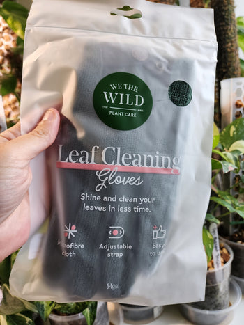 We The Wild Leaf Cleaning Gloves - Leaf of Faith SA