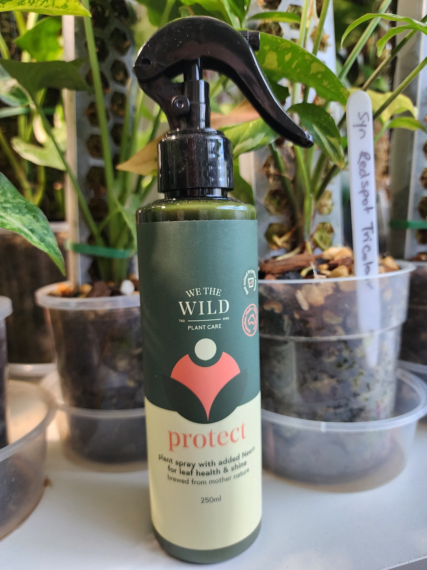 We The Wild Protect Spray 250ml - Leaf of Faith SA